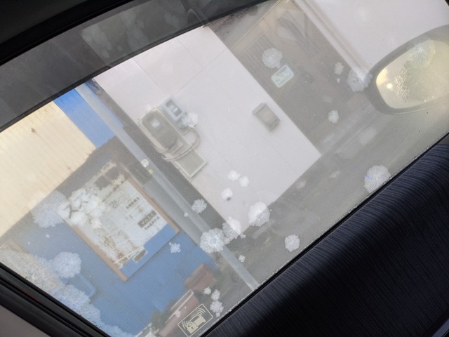 PXL_20210112_220934487.MP.jpg