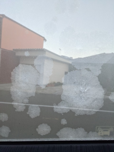 PXL_20210112_220940314.MP.jpg